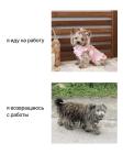 Прикрепленное изображение: На работу и обратно.jpg
