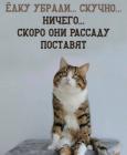 Прикрепленное изображение: Скоро рассаду поставят.jpg