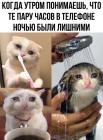 Прикрепленное изображение: Пара часов в телефоне.jpg