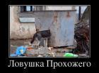 Прикрепленное изображение: 601.jpg