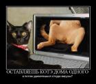 Прикрепленное изображение: x_3993d362.jpg