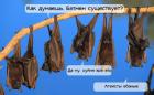 Прикрепленное изображение: post_37204_0_80094000_1365254427.jpg