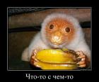 Прикрепленное изображение: 1ааъ.jpg