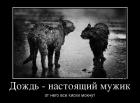 Прикрепленное изображение: 1аабб.jpg
