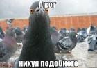 Прикрепленное изображение: tmp_2227-IMG_20150322_2115021852569289.jpg