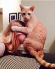 Прикрепленное изображение: 22222.jpg