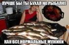 Прикрепленное изображение: рыб2.jpg