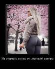 Прикрепленное изображение: IMG-20180411-WA0002.jpg