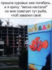 Прикрепленное изображение: image.jpeg