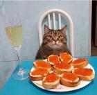 Прикрепленное изображение: qmHhQnxIE7w.jpg