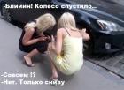 Прикрепленное изображение: блондинки.jpg