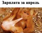 Прикрепленное изображение: nEMdaaO73K4.jpg