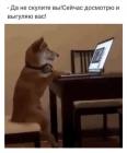 Прикрепленное изображение: 1587685711.jpg
