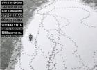 Прикрепленное изображение: Голубь на самоизоляции.jpg