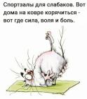 Прикрепленное изображение: Спортзалы для слабаков.jpg