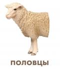 Прикрепленное изображение: 92691094_3618779874859132_7598801112409309184_n.jpg