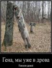 Прикрепленное изображение: 1618146398.jpg