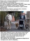 Прикрепленное изображение: 1618494720.jpg