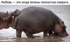 Прикрепленное изображение: DuIi2LyW4AMkaYU.jpg