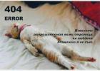 Прикрепленное изображение: 3e2ba18737f2.jpg