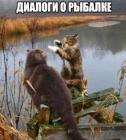 Прикрепленное изображение: 1619011768.jpg
