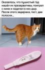 Прикрепленное изображение: QH6T0sluVHo.jpg