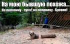 Прикрепленное изображение: NDHv-xhXl2Y.jpg