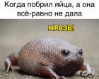 Прикрепленное изображение: 9AC63DFA-1AFC-463D-9D98-69538BA313B5.jpeg