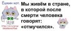Прикрепленное изображение: Отмучился.jpg