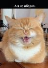Прикрепленное изображение: nfgZ1C_TIOE.jpg