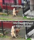 Прикрепленное изображение: 1649261224.jpg