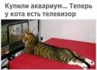Прикрепленное изображение: 1649751039.jpg