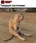 Прикрепленное изображение: Не понимаю как жить.jpg