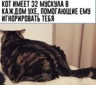 Прикрепленное изображение: 1680595874.jpg