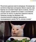 Прикрепленное изображение: 1680251416.jpg