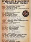 Прикрепленное изображение: Музыкальные жанры.jpg