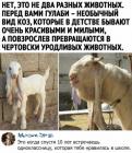 Прикрепленное изображение: 1714343556.jpg