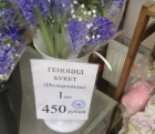 Прикрепленное изображение: scale_2400 (1).png