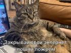 Прикрепленное изображение: пошли пожрем.jpg