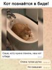 Прикрепленное изображение: 491942572_2480241202367998_4108942604065223709_n.jpg