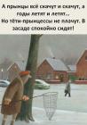 Прикрепленное изображение: 488517014_2725325697657290_7392981342419442996_n.jpg