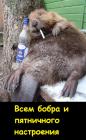 Прикрепленное изображение: 1743684992.jpg