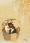 Прикрепленное изображение: IMG_35t (4).png