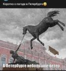 Прикрепленное изображение: veter-v-pitere_77679.jpg