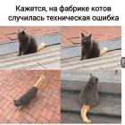 Прикрепленное изображение: 1776369157.jpg