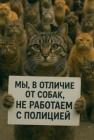 Прикрепленное изображение: 1776391051.jpg