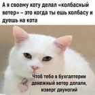 Прикрепленное изображение: 1777104591.jpg