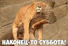 Прикрепленное изображение: 1777100813.jpg