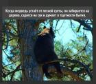 Прикрепленное изображение: 1776322536.jpg
