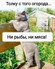 Прикрепленное изображение: 1776724232.jpg